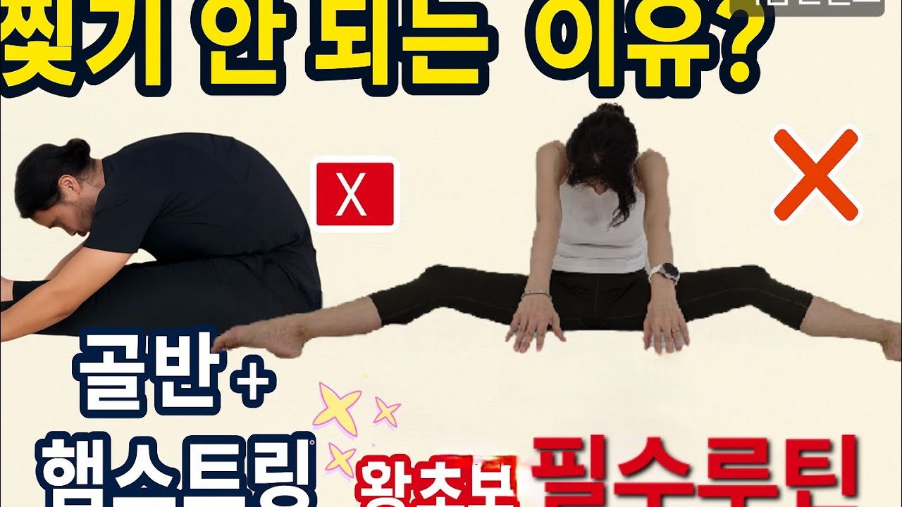 다리찢기 안 되는 이유? 골반 + 햄스트링, 이 루틴으로 해결_왕초보