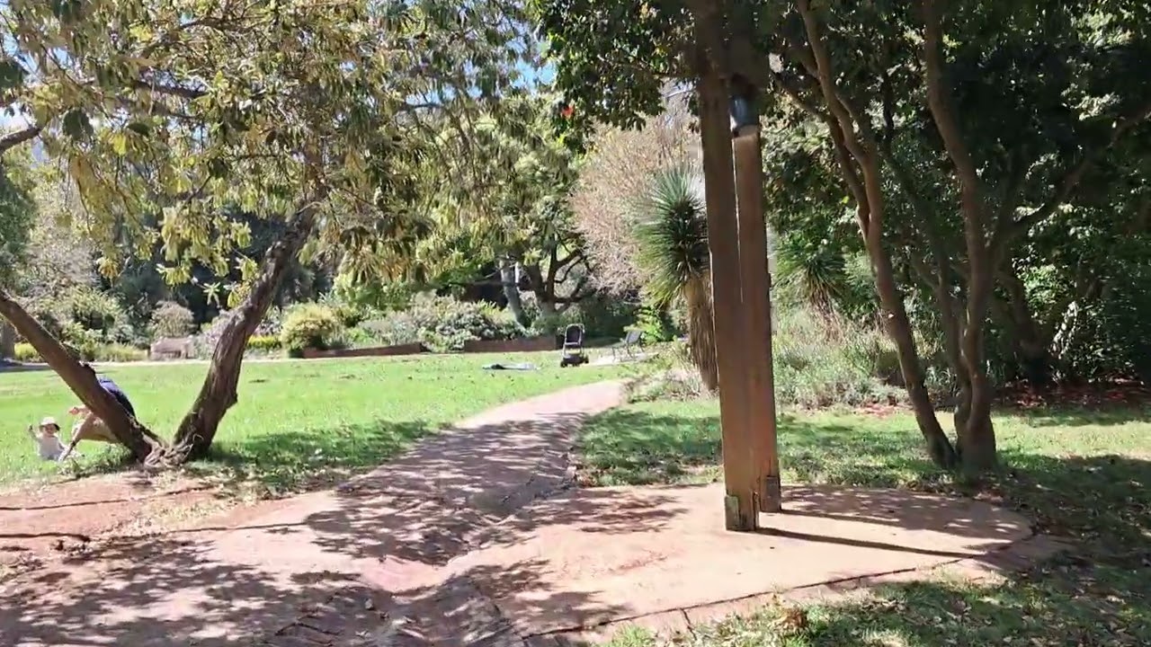 Arderne Gardens Claremont #capetown #tourism #travel #recreation 🇿🇦
