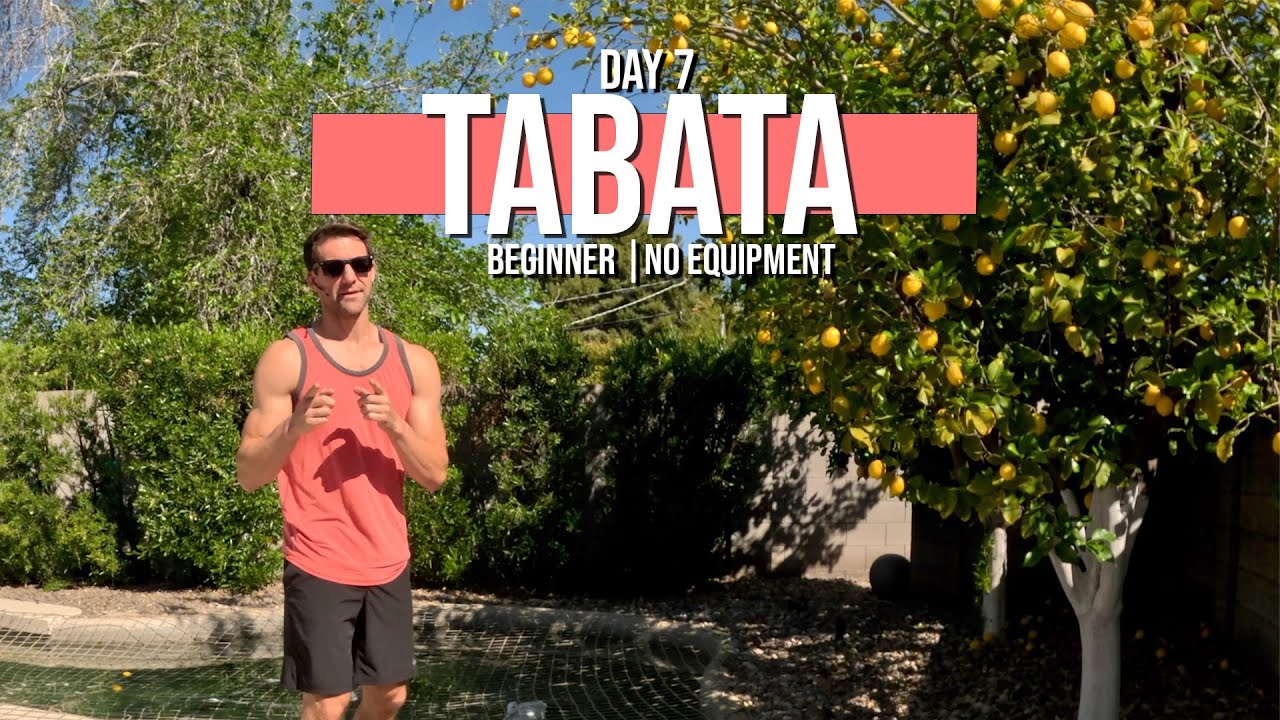 20 Minute Beginner Tabata FAT LOSS WORKOUT | No Equipment | Day 7
