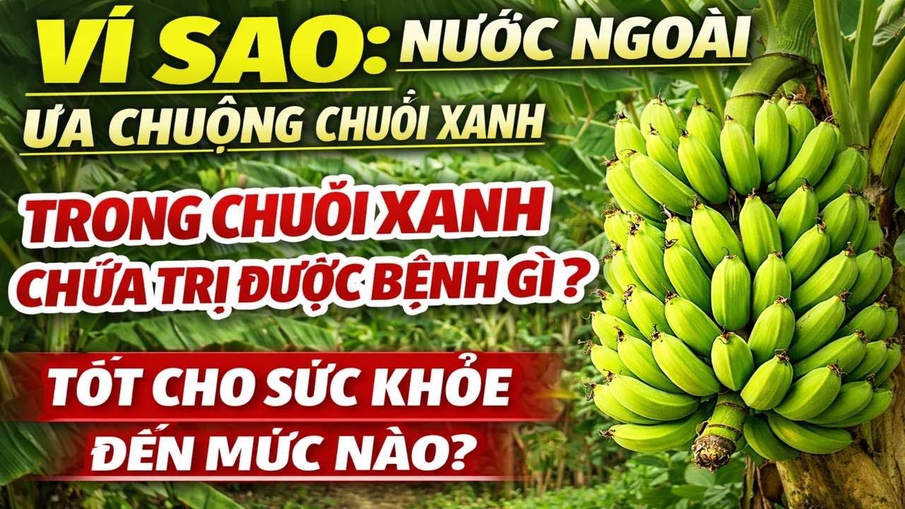 VÌ SAO NƯỚC NGOÀI ƯA CHUỘNG CHUỐI XANH VIỆT NAM? BÍ MẬT SỨC KHỎE ÍT AI BIẾT