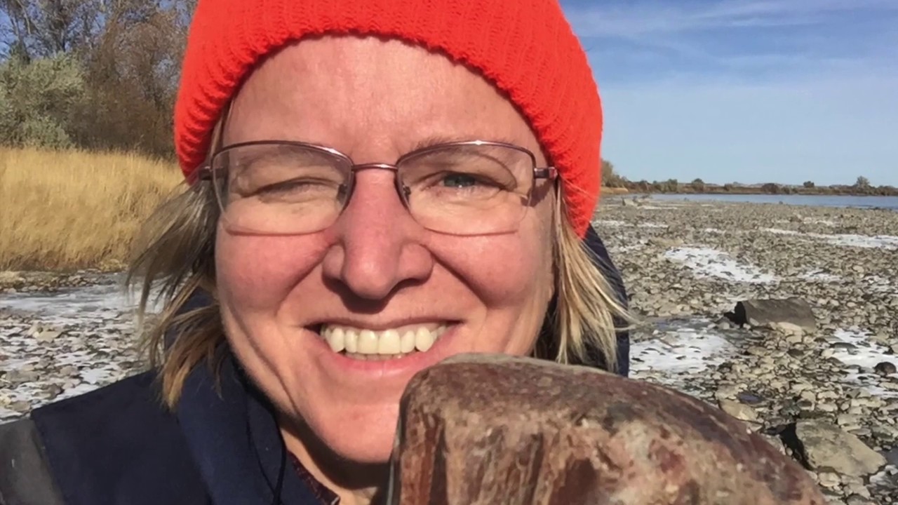 Jasperized WOOD! Rockhounding Montana Agates at Kinsey Bridge near Miles City