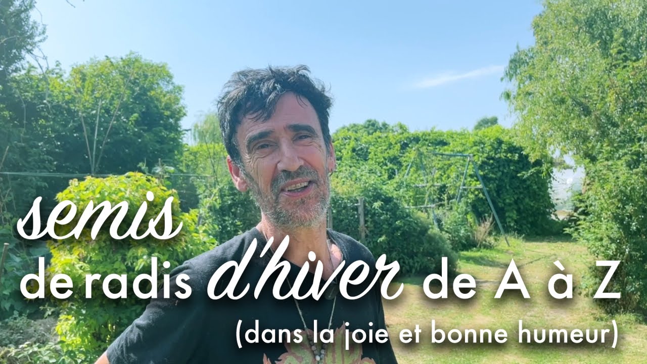Semer les radis longs d’automne et d’hiver.