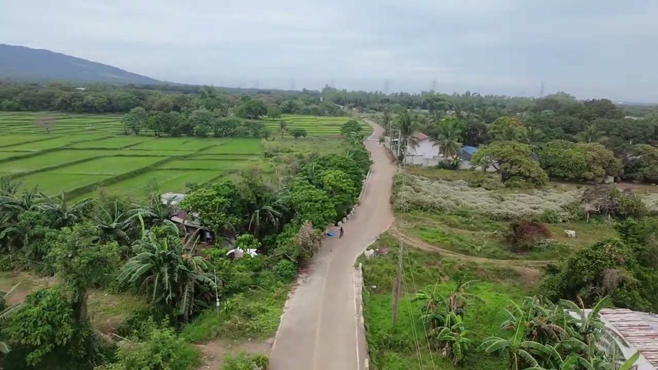 Payapang Bukirin Ng Lalawigan Ng Bataan.. Location: Sitio Bani Brgy Cataning City Of Balanga Bataan 