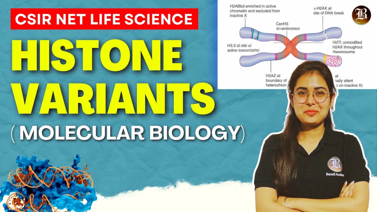 Nucleosome | Histone Variants |  CSIR NET Life Science Dec.2024 | Molecular Biology | Bansal Academy