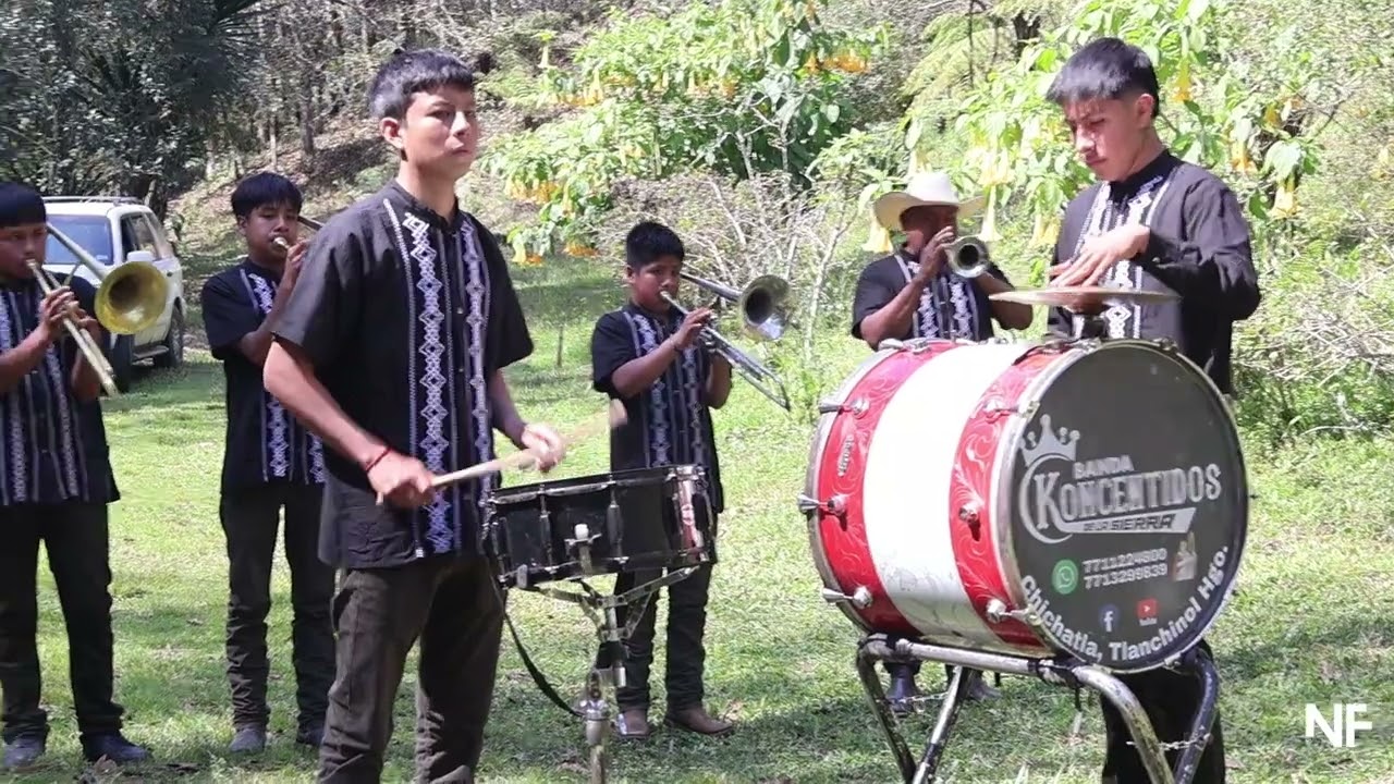Huapango 2, Banda Konsentidos de la Sierra