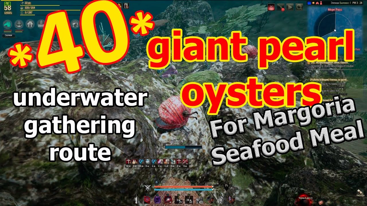 Black Desert - 40 Giant Pearl Oyster Gathering route, shrimps and lobsters