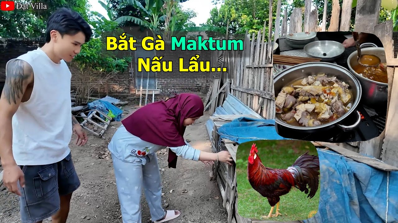 Bắt Gà Của Maktum Nấu Lẩu Gà Lá É Indonesia | Đạt Villa