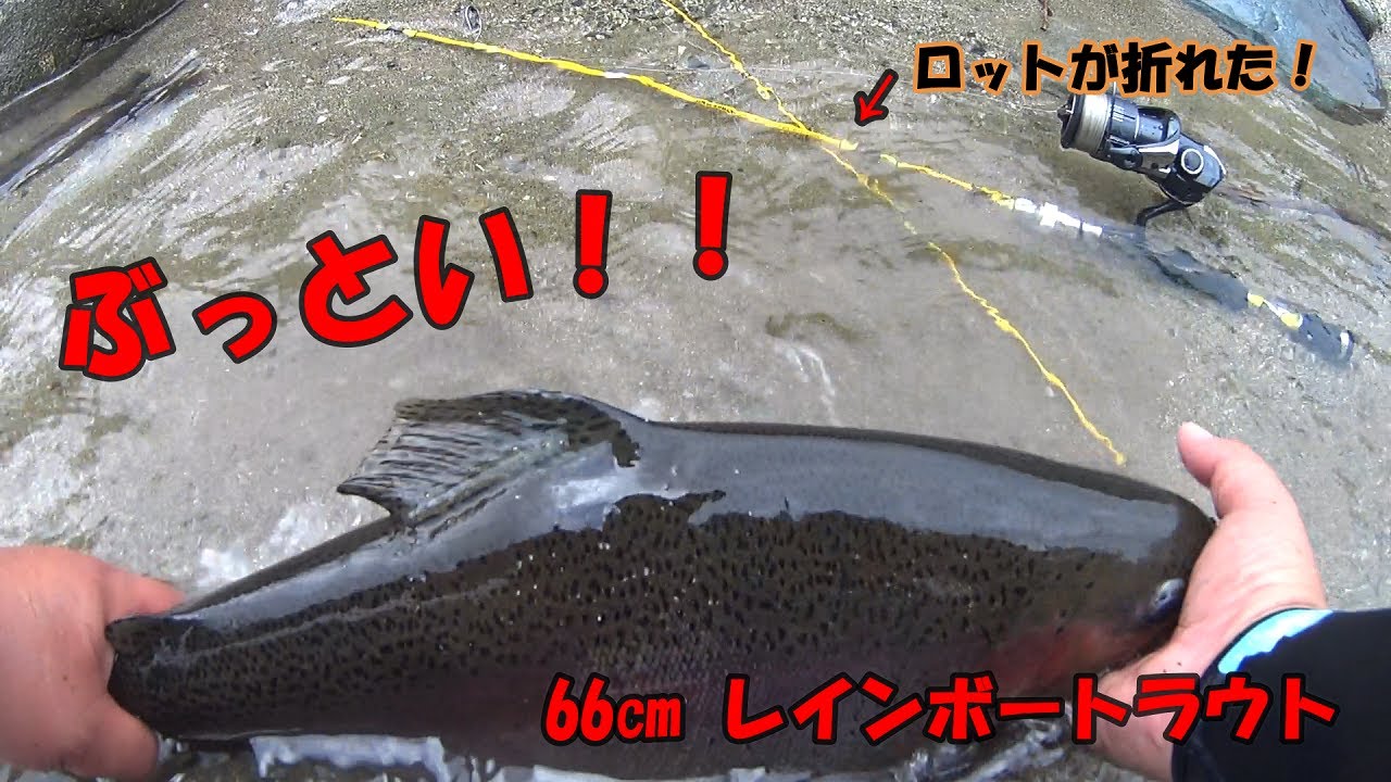 ロットぶち折るBIG レインボー！！ 前編 【銀山平釣行vol.3】