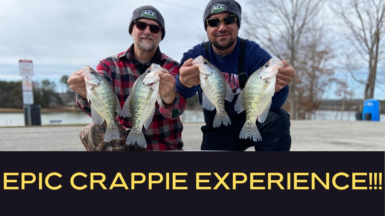 CRAPPIE FISHING | Targeting Winter Crappie With Livescope On Tellico Lake! Part 1 #fishing  #crappie