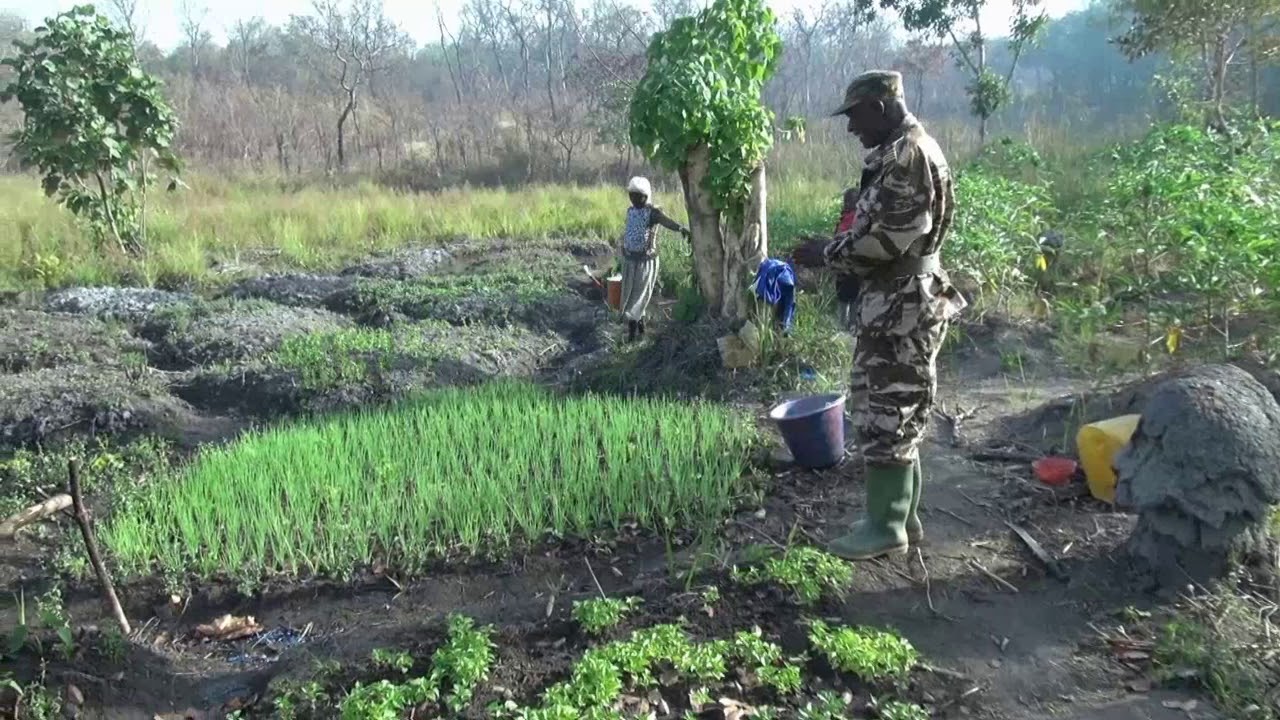 Guinée 2012 en hdj80  épisode 2