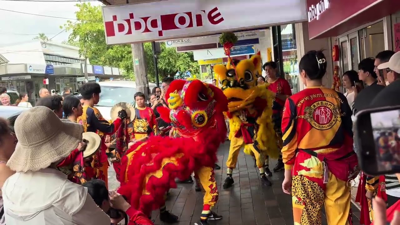 Lion dance kids 