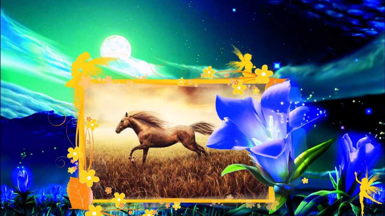 АНАТОЛИЙ КАШКА. ГДЕ ЖЕ ТЫ, МОЙ КОНЬ.