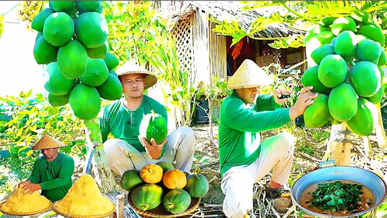 Harvesting papaya from my garden |making pickled papaya | cooking kinunot na Pagi, stingray  and eat