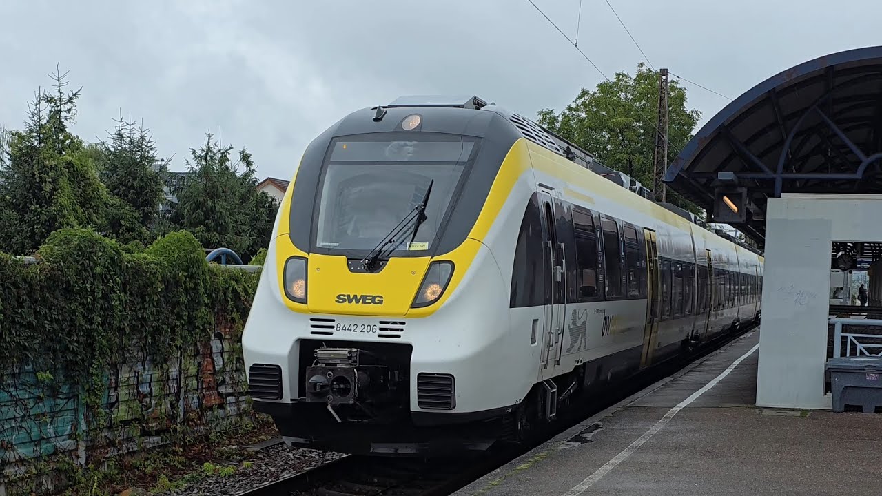 Züge in Bahnhof Denzlingen auf der Rheintalbahn #trainspotting #zug #züge #sbahn 