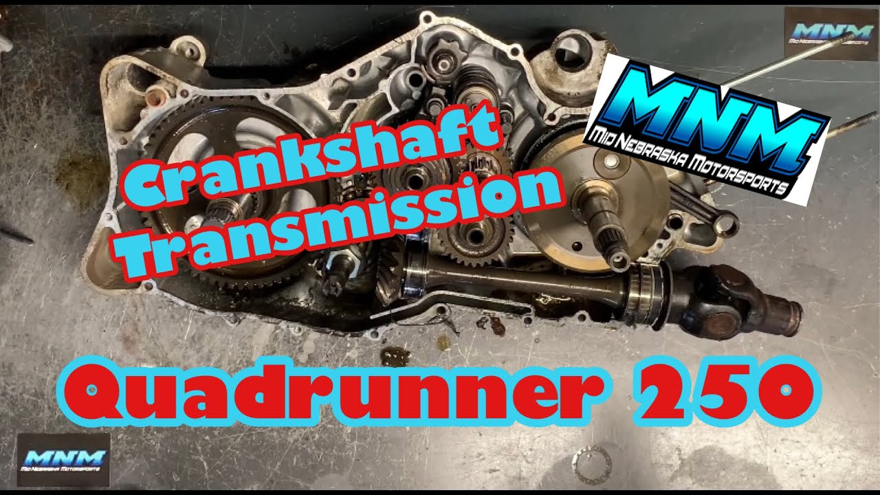 Suzuki Quadrunner 250 - Transmission / Gear Prop Shaft Removed Crankcase Split