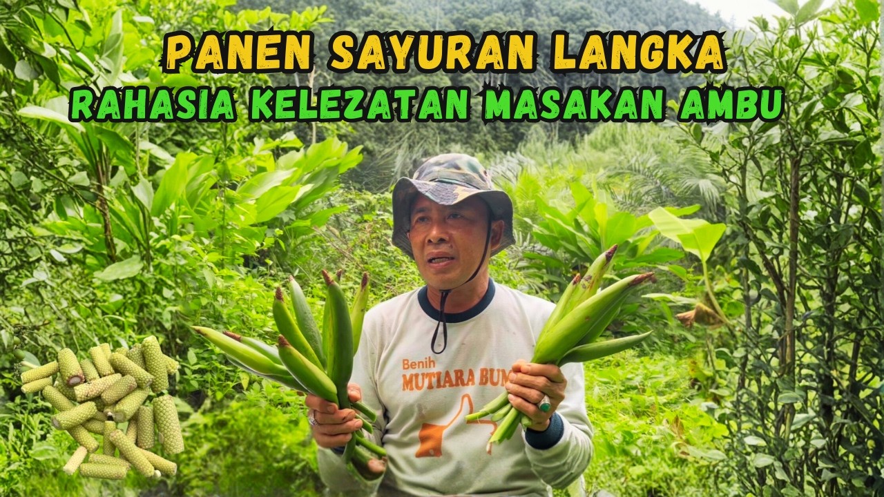 Panen Sayuran Langka dari Alam.... Bahan Rahasia Kelezatan Masakan Ambu.
