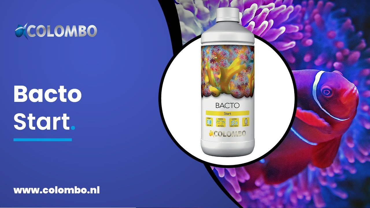 Colombo Marine Bacto