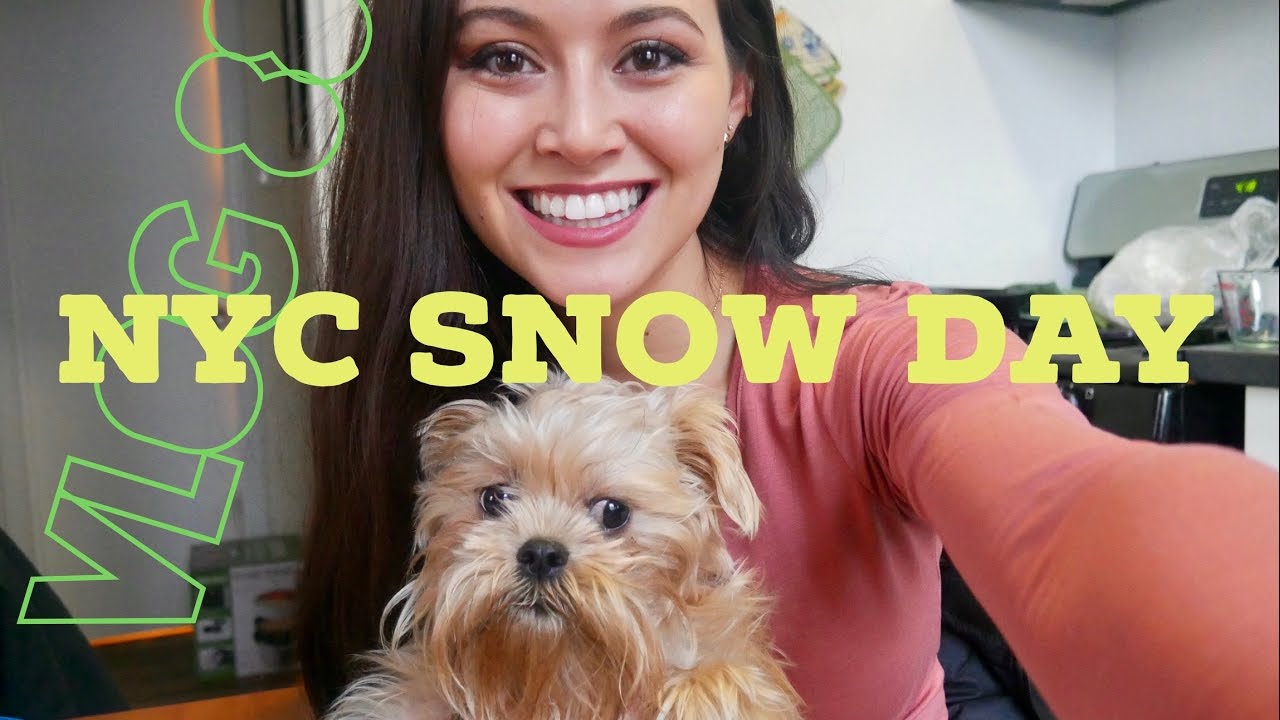 NYC SNOW DAY. VLOG 88