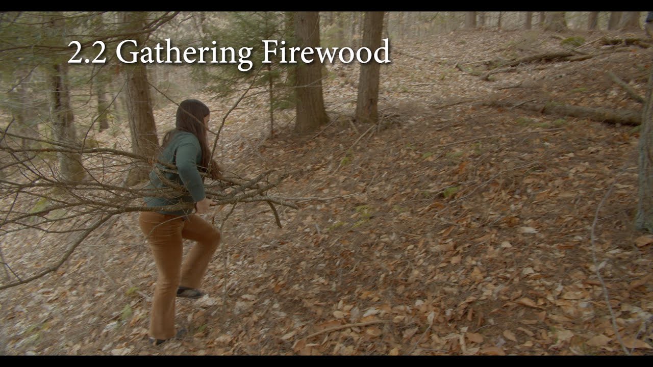 2.2 Gathering Firewood From the Landscape