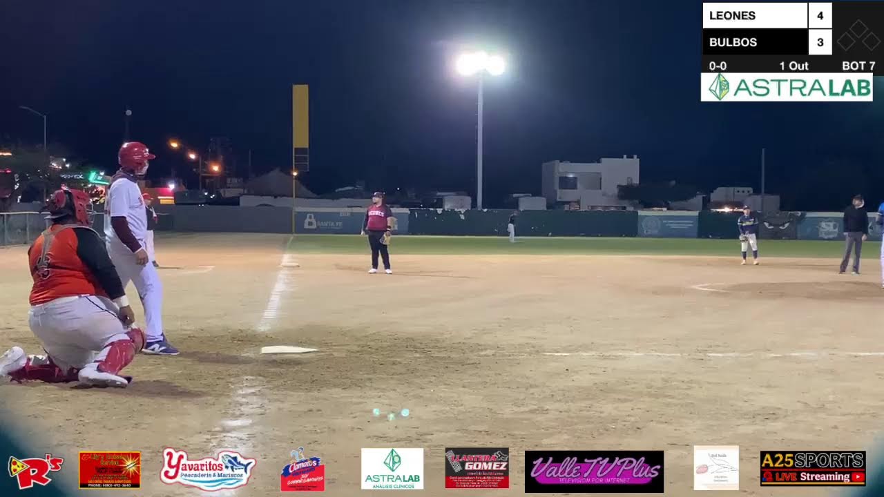 TOROS VS BULBOS