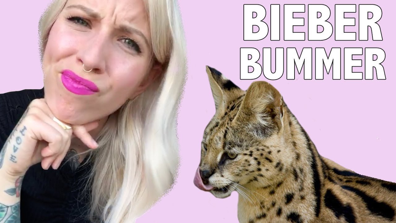 Justin Bieber's New Savannah Kittens Are a Bummer
