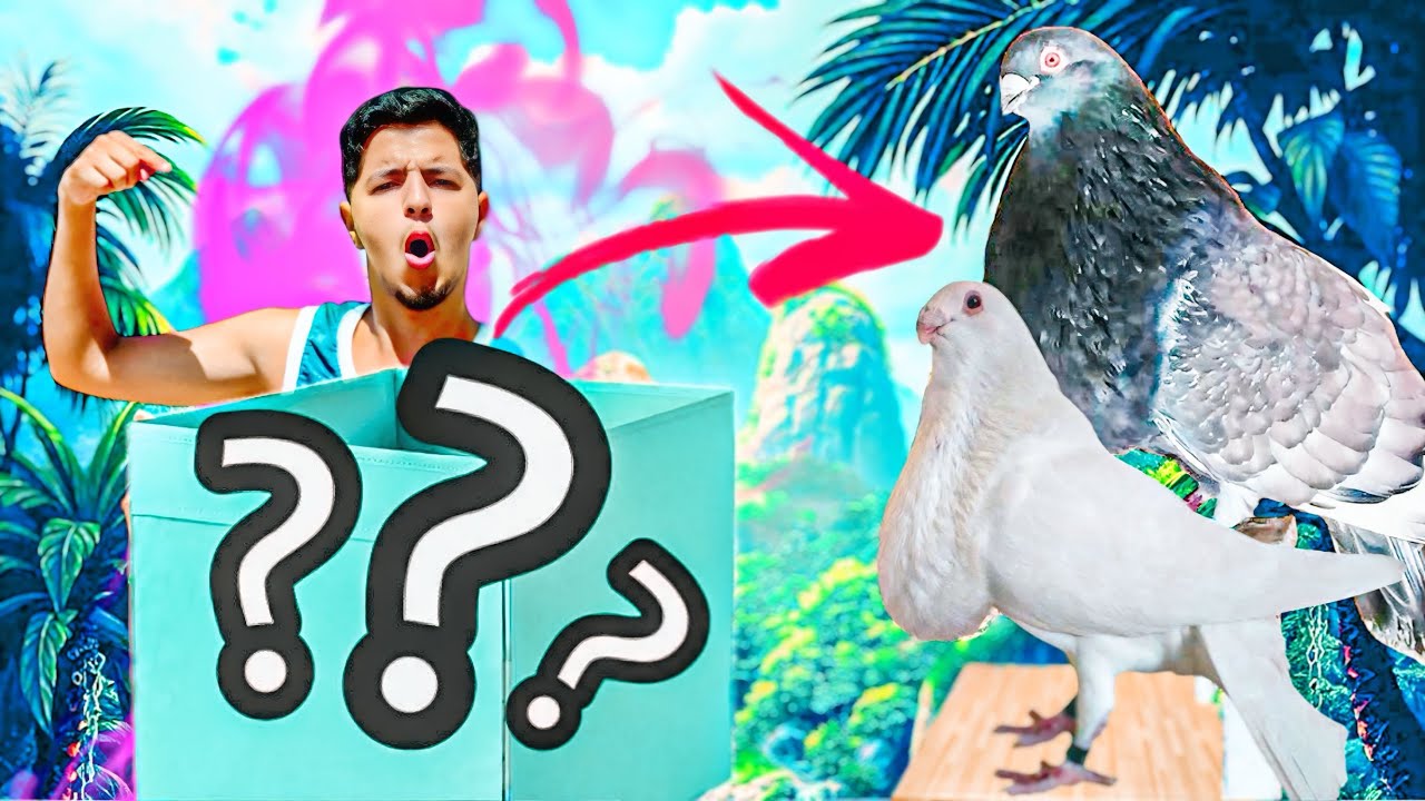 أكبر مسابقة عن حمام 🤯 احسن تلات هدية لي المتابعين 🔥 توليعة صباحية ❤️