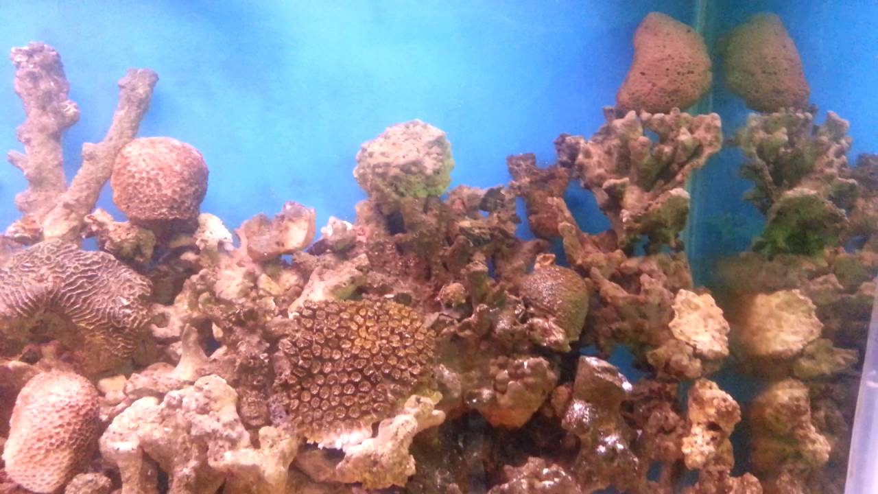 Acua Tv Sorteó de los 10K