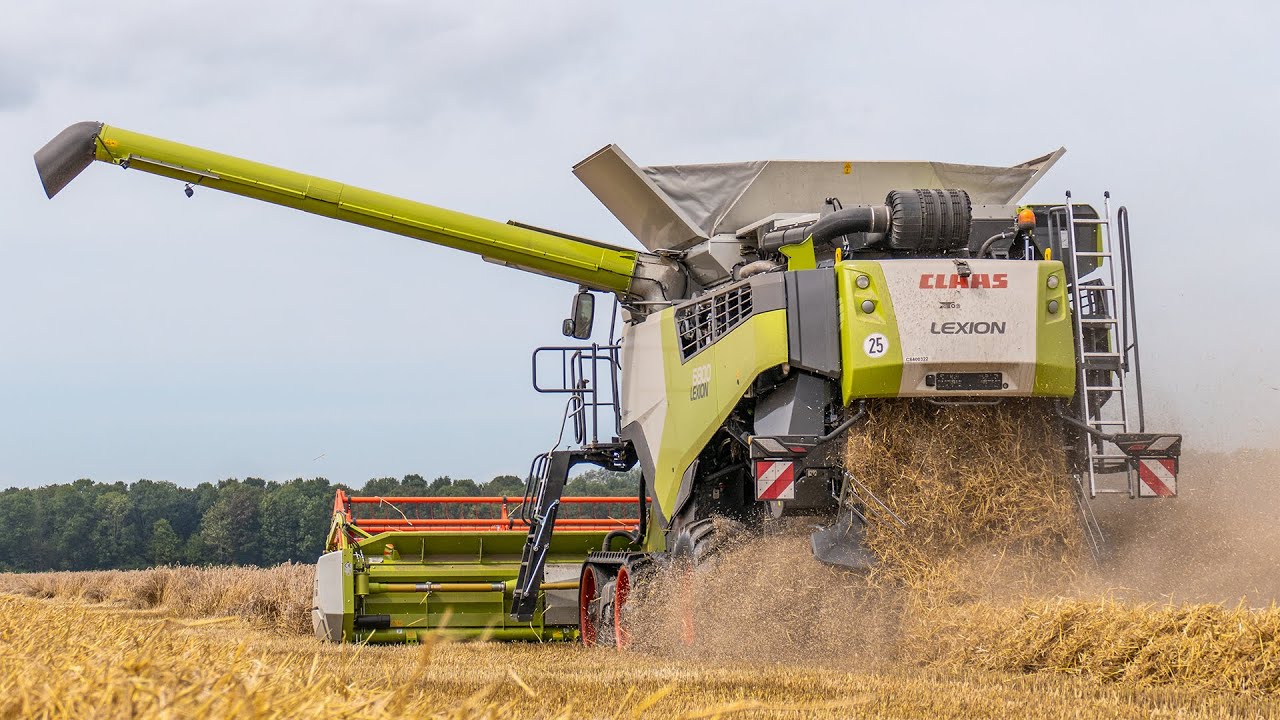 Claas Lexion 6800 + Claas Vario 770 | Fendt 936 Gen 6 | Harvesting wheat