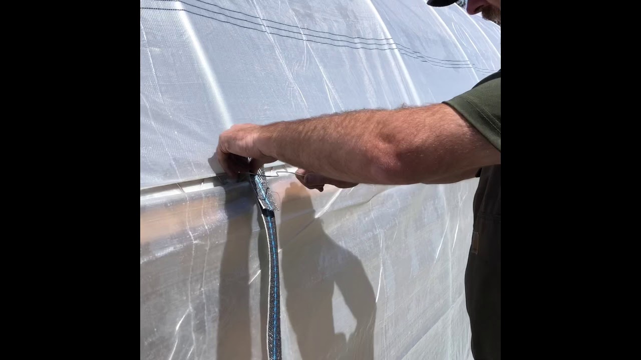 Adding wind straps to roll up side walls.  Empire Greenhouses