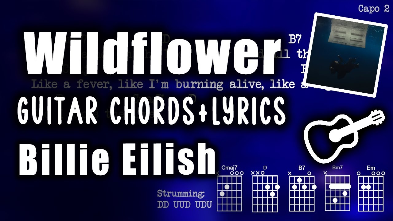WILDFLOWER Billie Eilish - Guitar Play Along, Easy Chords/Lyrics