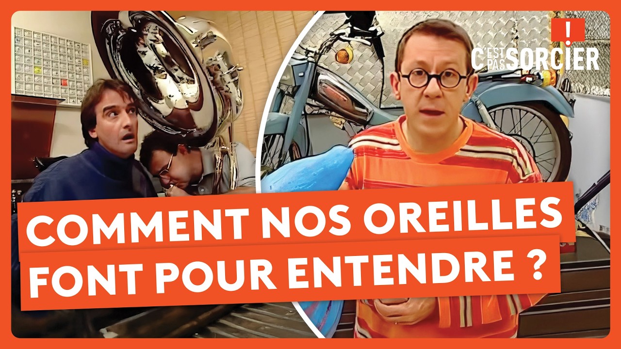 Comment nos oreilles font pour entendre ? - C'est pas sorcier