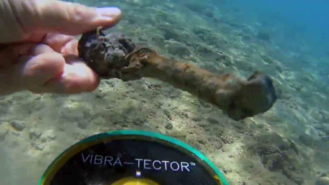 Поиск с Vibra Tector 740 в Красном море. Много монет и разных находок.
