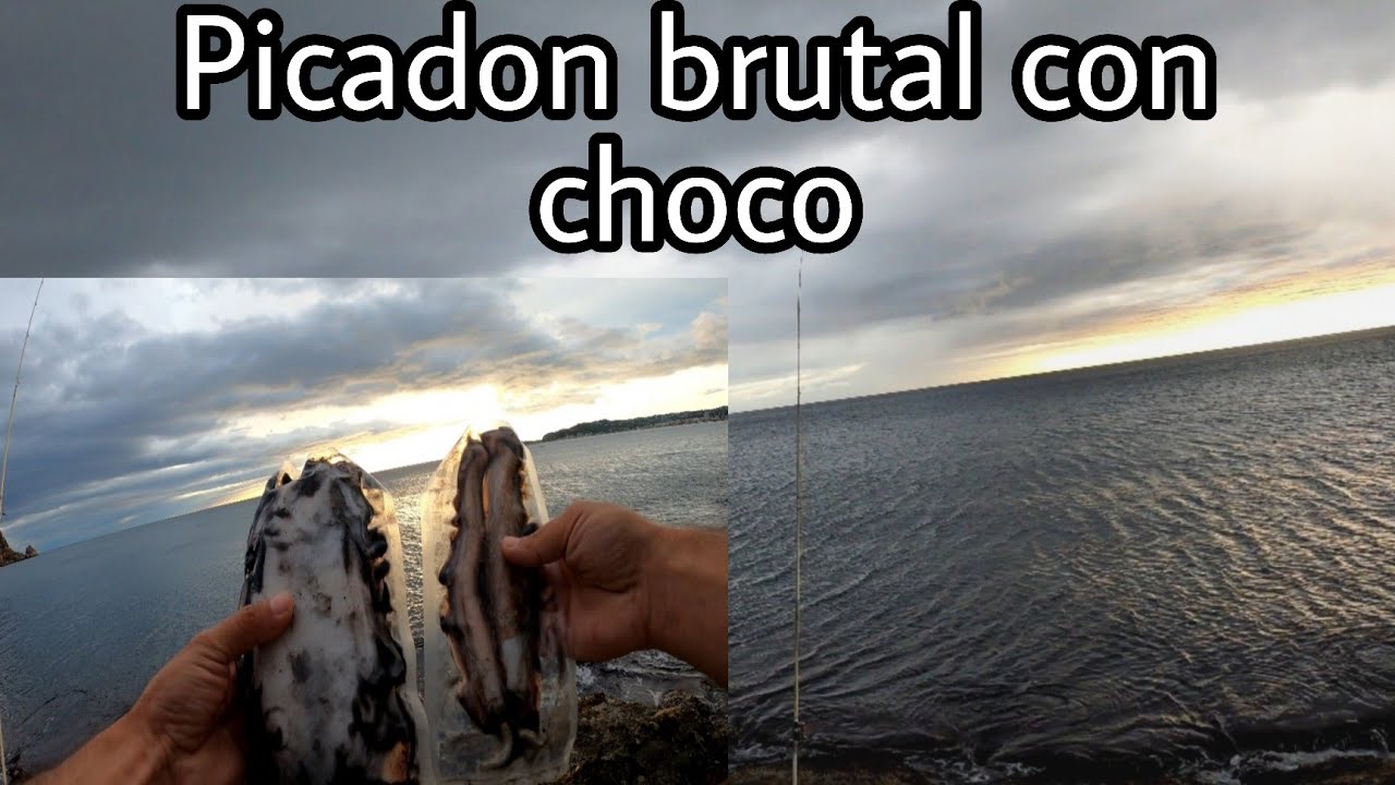 PICADA BRUTAL CON CHOCO🇪🇸MAGNUS FISHING