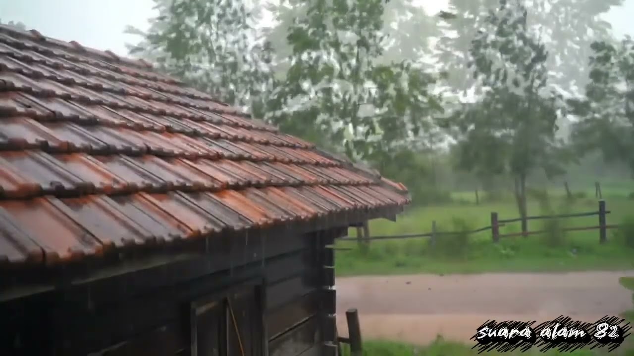 Relaxing Rain Sounds for Sleeping and Stress Relie#asmr#rainasmr#asmrrain#wind