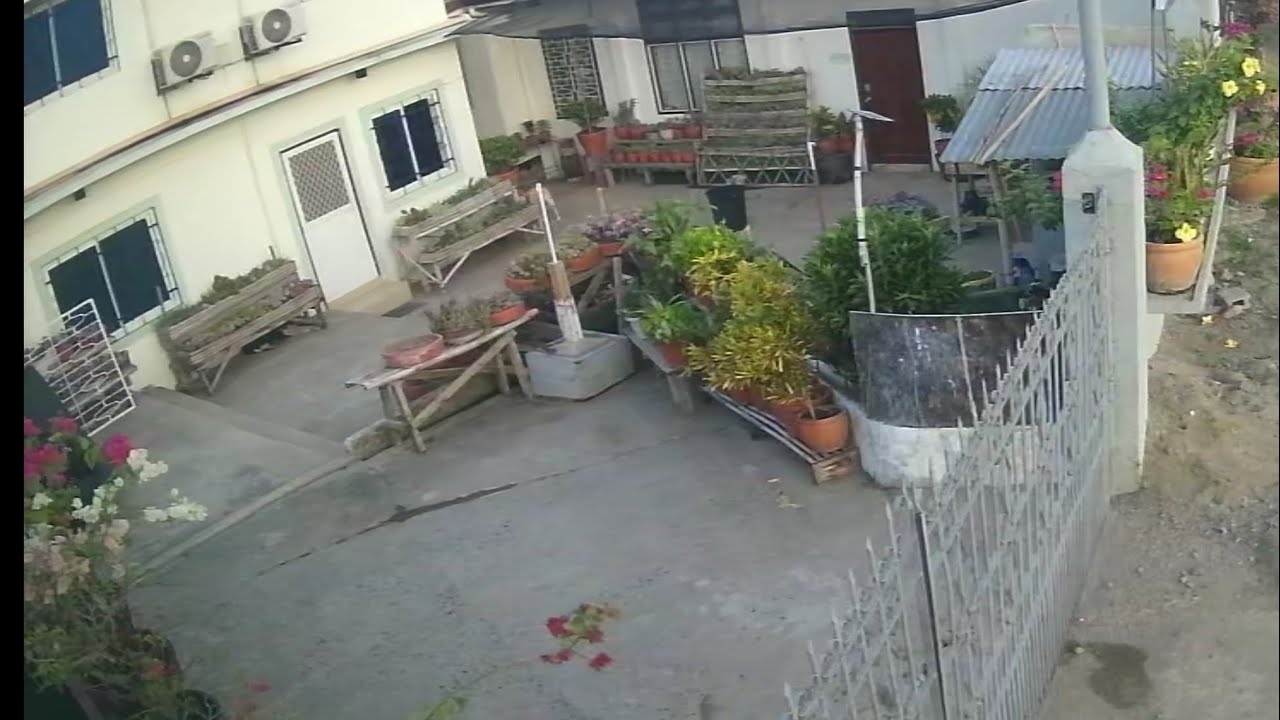 2/28/26 - Boardinghouse succulent garden update in Lingsat, SFC, La Union. Nee succulent additions. 