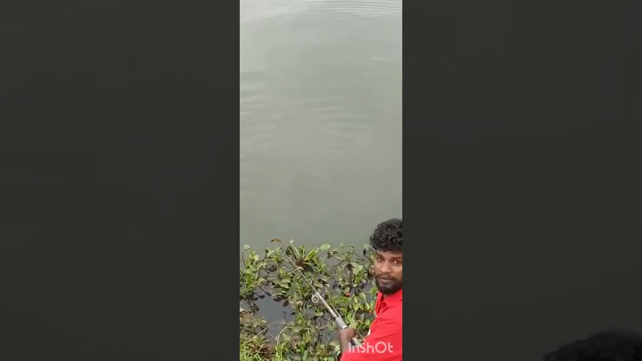 Fish of the day - Lake fishing for carp