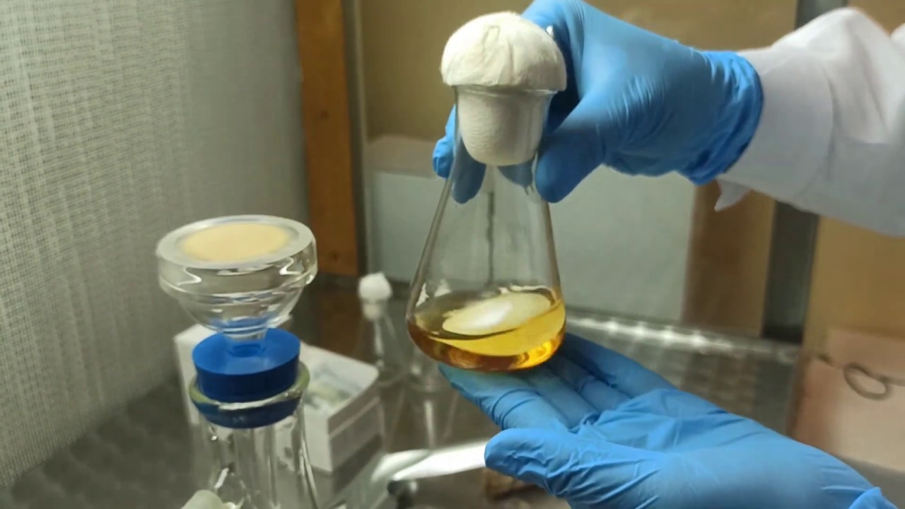 Kontrola jałowości preparat&oacute;w farmaceutycznych metodą filtr&oacute;w membranowych