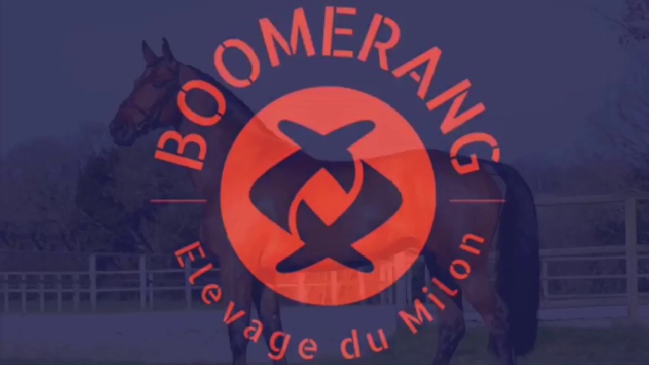 Salon des Etalons de Sport de Bordeaux - Samedi 08 Fév. 2019