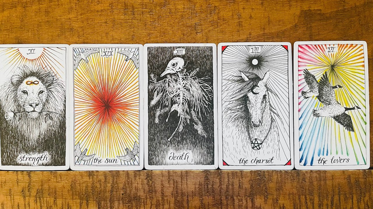 Scorpio - Where Is Your Momentum Taking You? “WOW, Just Wow, But You’ve Earned It!