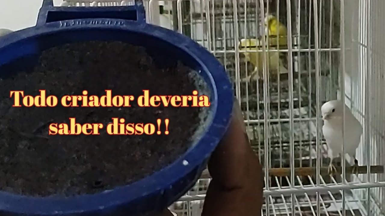 FATOS que NINGUÉM TE CONTA sobre a reprodução | Evite esses erros