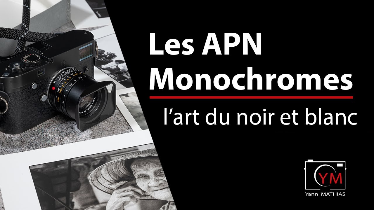 La photographie en noir et blanc l'appareil monochrome