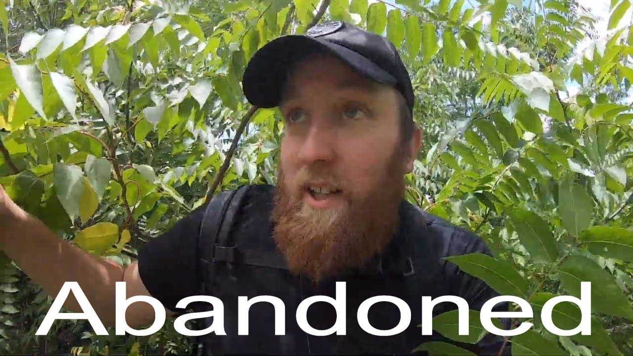 Exploring the Abandoned Whittlesea train station - Bonus River magnet goodness-