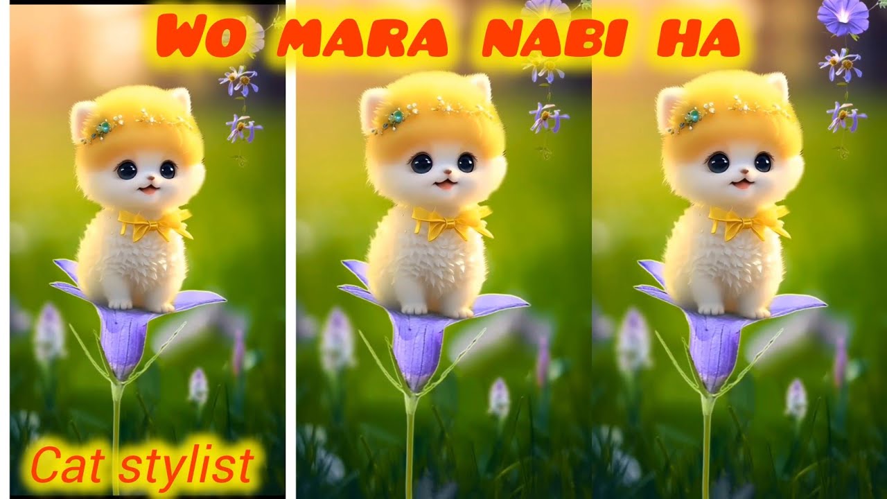 Wo mara nabi ha ||  cat naat singing || billi wali naat || 