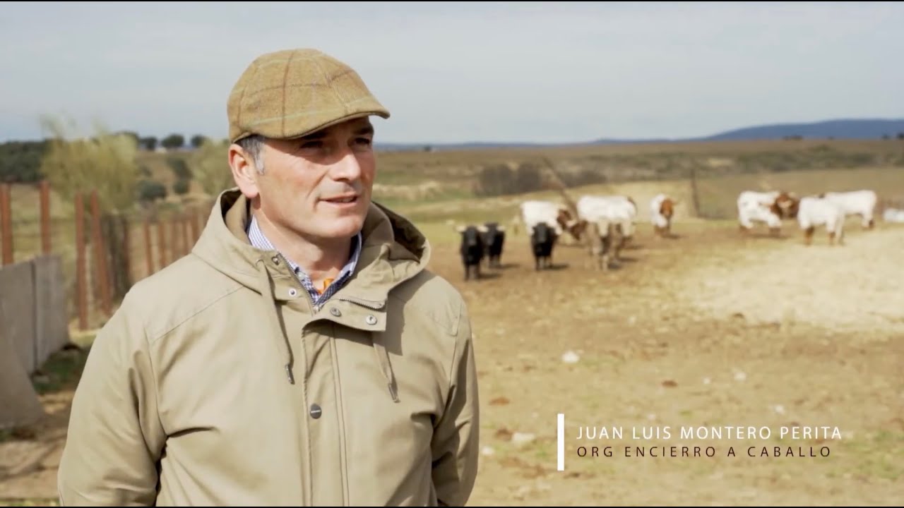 [DIRECTO] Encierro a Caballo Ciudad Rodrigo