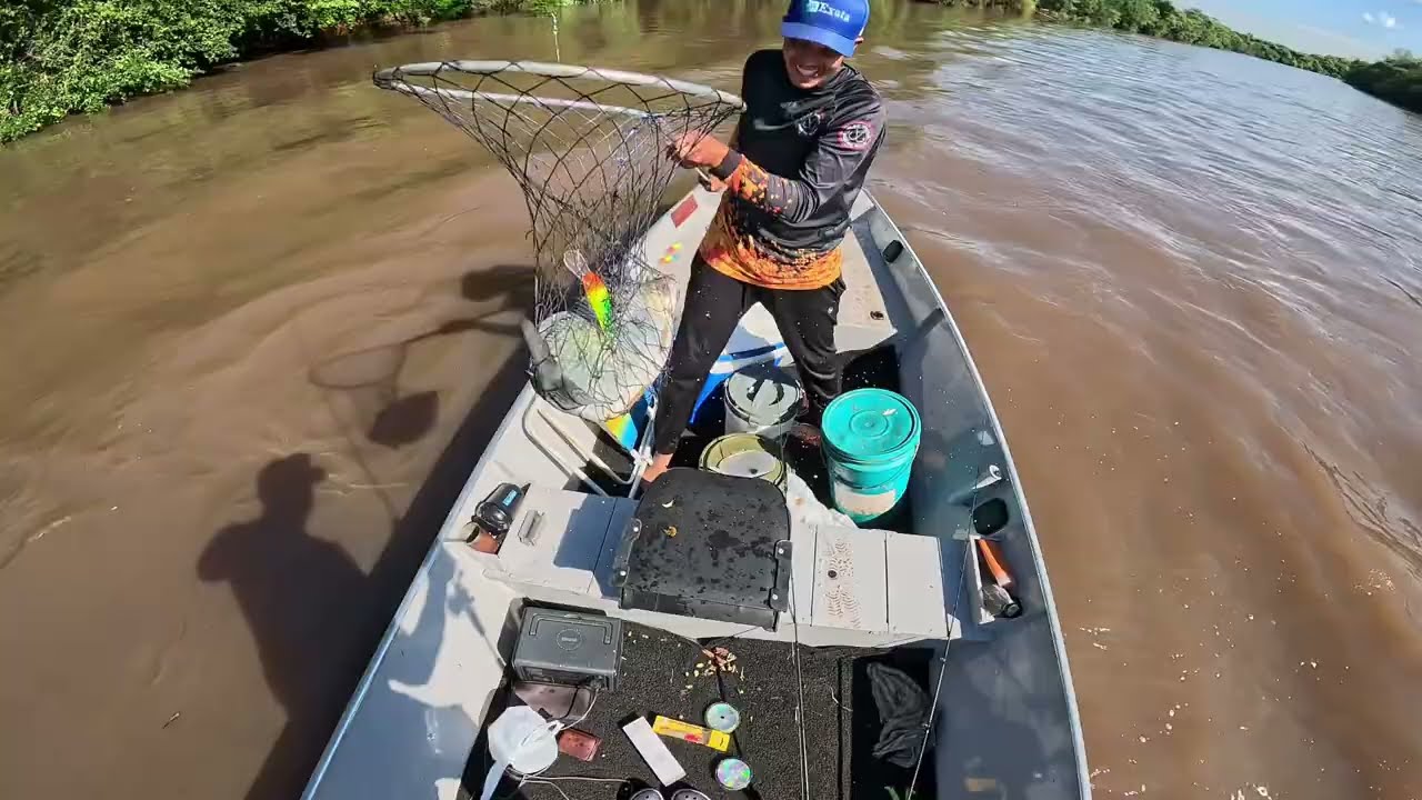 CURIMBA GIGANTE no Rio Sujo! Muito Peixe e Linha Cantando!