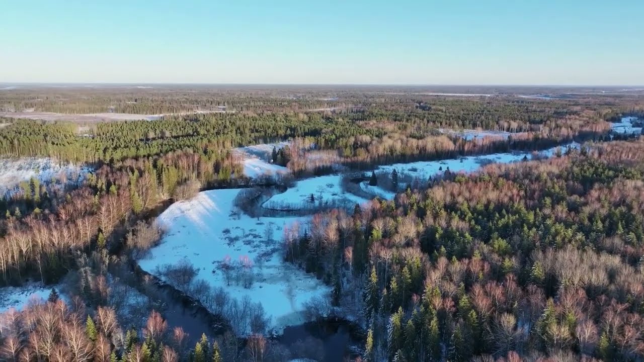 Природа Эстонии в Tuhala. Siniallikad talvel #ESTONIAWILD #NATUREOFESTONIA #ONEDAYINESTONIA #nature