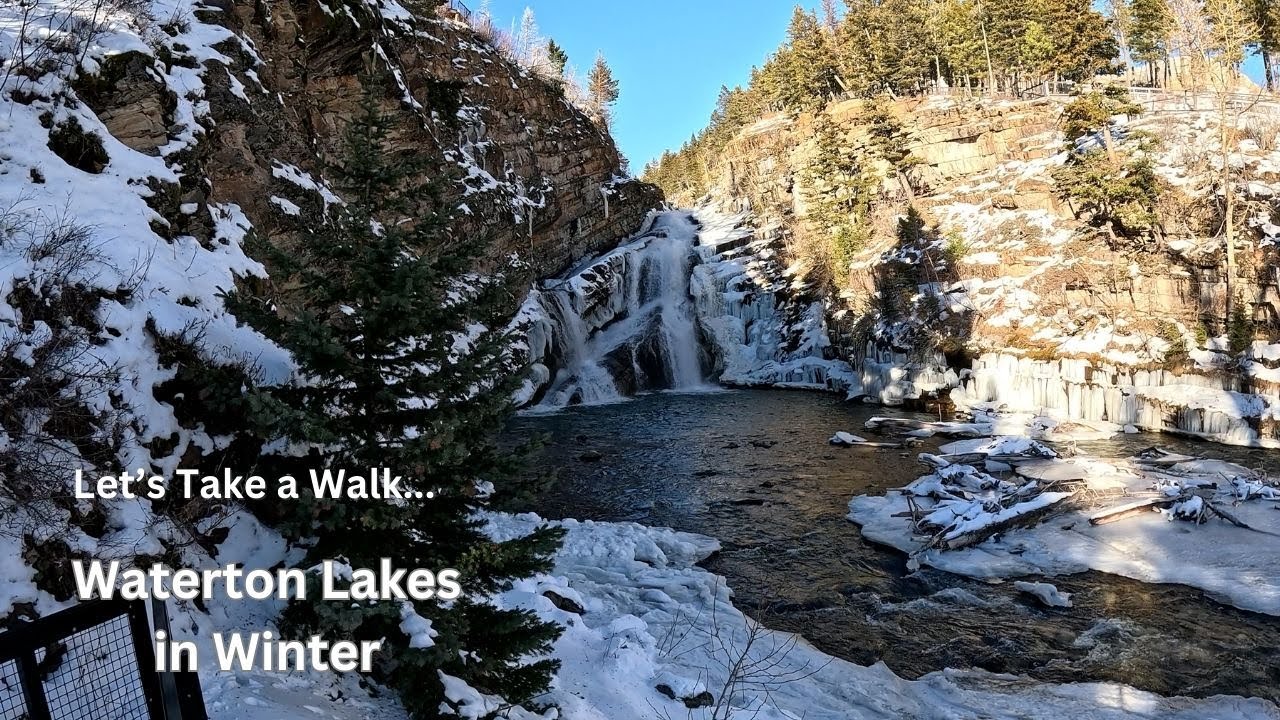 Waterton Winter Walk, Let's Take a Walk