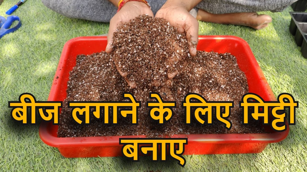बीज लगाने के लिए मिट्टी यानी सीडलिंग मिक्स कैसे बनाए | How To Make Seed Starter Mix At Home