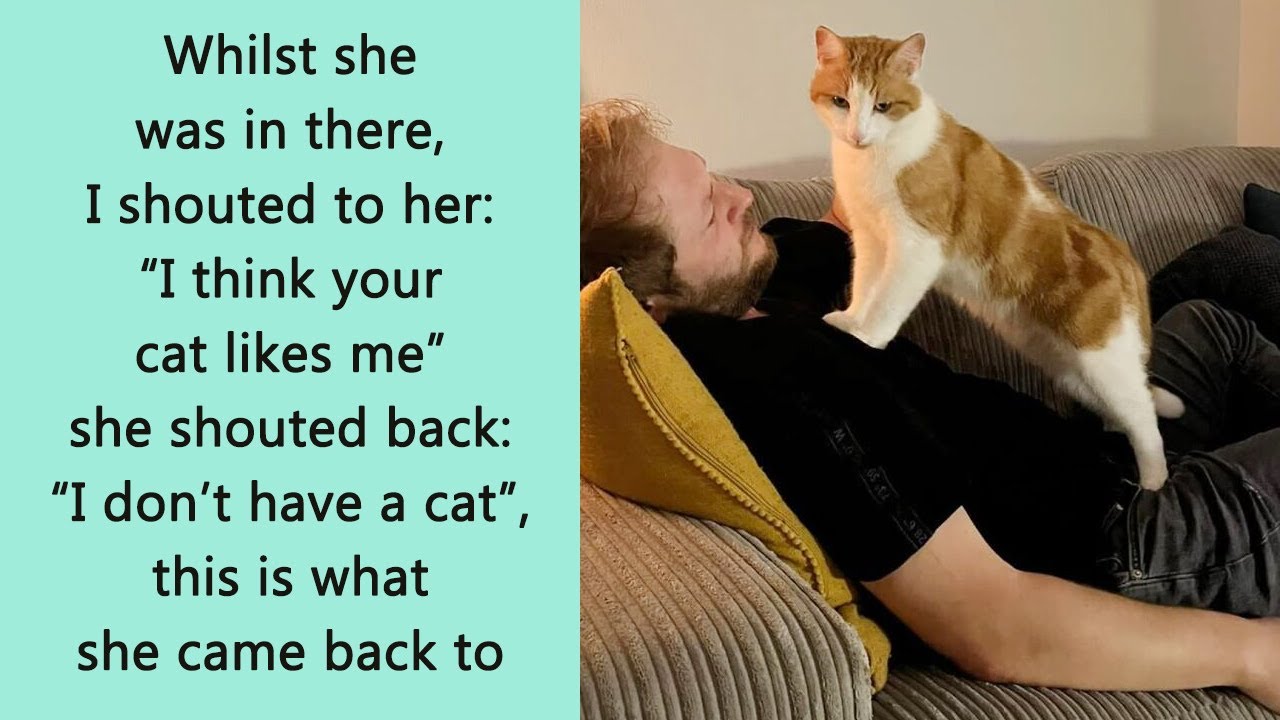 “This Isn’t My Cat!” – 50 Wholesome Moments of Unexpected Feline Visitors