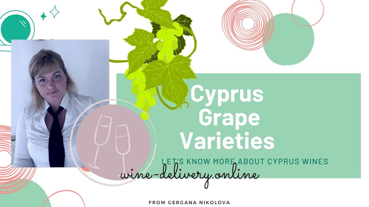 Xynistery Cyprus grape